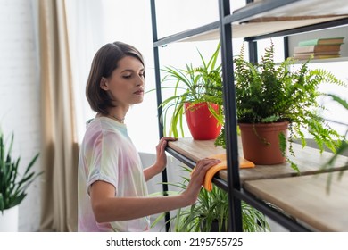 Brunette Woman Cleaning Cupboard With Plants In Living Room