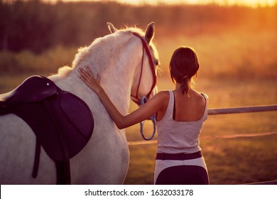 Brunette young woman and her horse looking at the sunset. Fun on countryside, golden hour. Freedom nature concept. 