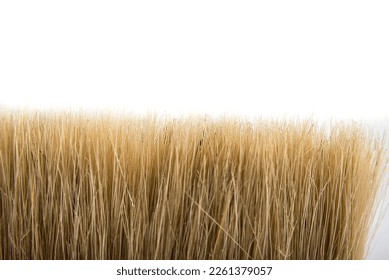 Brush bristle closeup on a white background