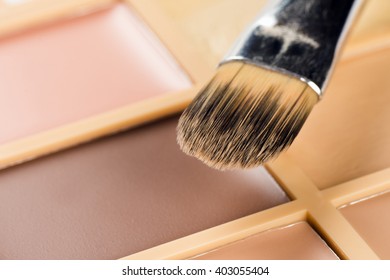 Brush for concealer and a palette of concealer.