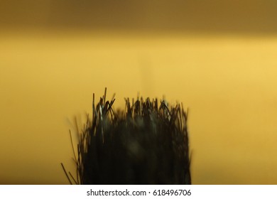 Brush for drawing in macro