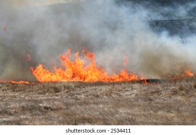 A Brush Fire Moves Up A Hill