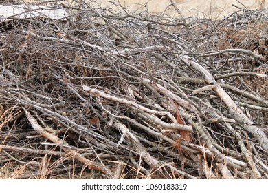 Brush Pile in Woods - Shutterstock ID 1060183319