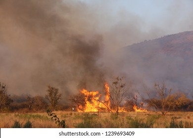 Brush Veld Fire And Smoke, South Africa