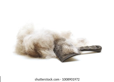 
Brush for wool. Dog hair with a comb for shedding hair 