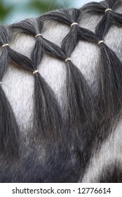 1,480 Horse mane brush Images, Stock Photos & Vectors | Shutterstock