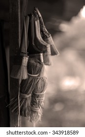 brushes
