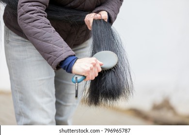 Brushing A Black Tail Of A Brown Horse