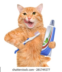 Brushing Teeth Cat.