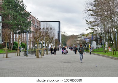 BRUSSELS, BELGIUM -7 FEB 2019- View Of The Solbosch Campus Of The Université Libre De Bruxelles (ULB), A Major Research And Teaching University Located In Brussels, Belgium.