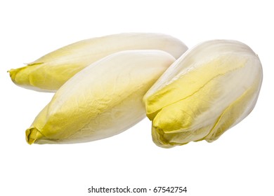 Brussels Chicory isolated over white without reflection - Shutterstock ID 67542754