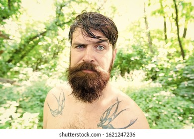 Brutal And Rugged. Hairy Hipster Wearing Long Beard And Mustache In Brutal Style. Bearded Man With Brutal Look On Summer Nature. Brutal Caucasian Guy Shirtless With Tattooed Skin.