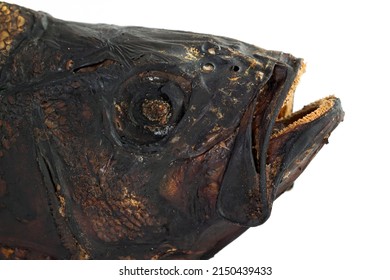 Brutal Smoked Salty Fish Head  Isolated White Background