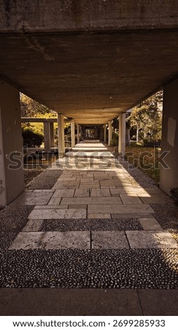 brutalist architechture fall and sun light