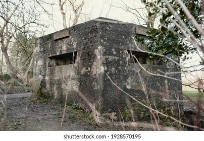 A brutalist cold gritty concrete world war two, ww2 pillbox war bunker defence fortress in a dirty forgotten woodland in europe. wartime relics and forgotten outpost using solid architecture to defenD