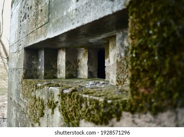 A brutalist cold gritty concrete world war two, ww2, pillbox war bunker gun hole in a defence fortress, in a dirty forgotten woodland in europe. wartime relics and forgotten outpost 