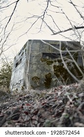 A brutalist cold gritty concrete world war two, ww2 pillbox war bunker defence fortress in a dirty forgotten woodland in europe. wartime relics and forgotten outpost using solid architecture to defend