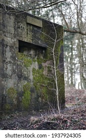 A brutalist cold gritty concrete world war two, ww2, pillbox war bunker defence fortress in a dirty forgotten woodland in europe. wartime relic and forgotten outpost using solid architecture to defend