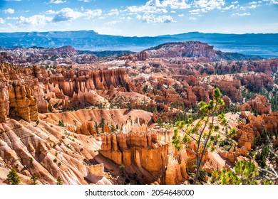 Bryce Canyon Ampitheater Of Hoodoos