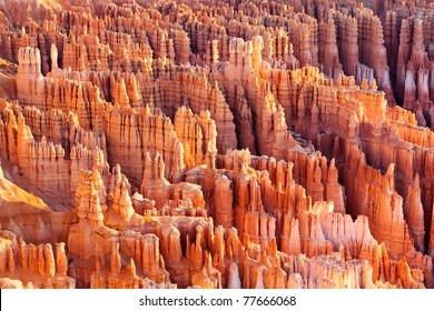 Bryce Canyon Hoodoos At Sunrise, Utah, USA