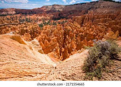 Bryce Canyon Hoodoos In Wide Angle