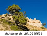 Bryce Canyon National Park in Utah,
one of the most beautiful national parks in the world