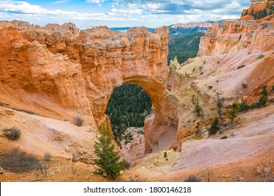 Bryce Canyon National Park, Utah, USA at the natural bridge. - Powered by Shutterstock