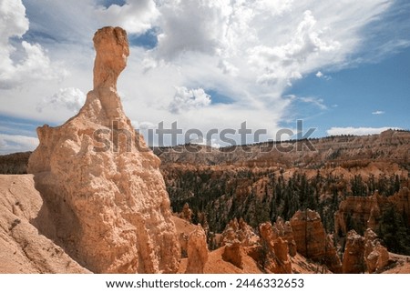 Bryce Canyon National Park, Utah, USA, Summer Landscape, Scenic Beauty, Hoodoos, Red Rock Formations, Sandstone Spires, Desert Wilderness, Southwest USA, Nature Photography, Outdoor Adventure, Summer