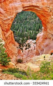 BRYCE CANYON, UT -24 AUG 2013- The Bryce Canyon National Park, A Spectacular Limestone Amphitheater With Red Rock Formations, Is Located In Southwestern Utah Near The Colorado Plateau.