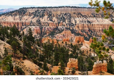 BRYCE CANYON, UT -24 AUG 2013- The Bryce Canyon National Park, A Spectacular Limestone Amphitheater With Red Rock Formations, Is Located In Southwestern Utah Near The Colorado Plateau.