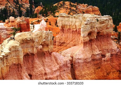 BRYCE CANYON, UT -24 AUG 2013- The Bryce Canyon National Park, A Spectacular Limestone Amphitheater With Red Rock Formations, Is Located In Southwestern Utah Near The Colorado Plateau.