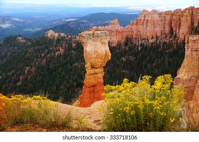 BRYCE CANYON, UT -24 AUG 2013- The Bryce Canyon National Park, A Spectacular Limestone Amphitheater With Red Rock Formations, Is Located In Southwestern Utah Near The Colorado Plateau.