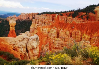 BRYCE CANYON, UT -24 AUG 2013- The Bryce Canyon National Park, A Spectacular Limestone Amphitheater With Red Rock Formations, Is Located In Southwestern Utah Near The Colorado Plateau.