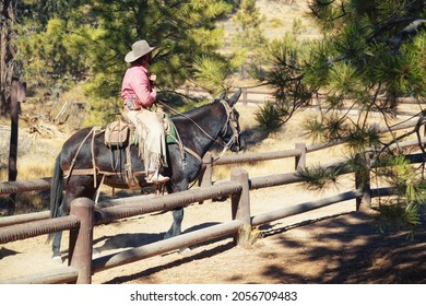 Bryce Canyon, Utah,USA -  October 12, 2020 Bryce Canyon Horseback Ride. A Local Guide