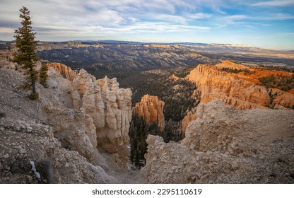 Bryce Canyon viewed from Rainbow Point | Bryce Canyon National Park, Utah, USA - Powered by Shutterstock