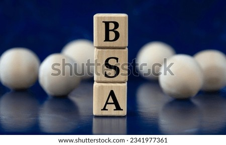 BSA - acronym on wooden cubes on a blue background with wooden balls. Info concept