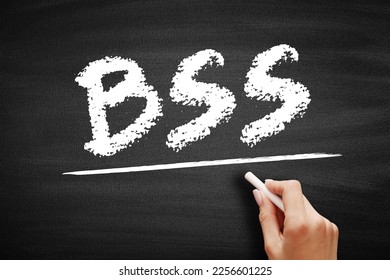 BSS Business Support System - components that a telecommunications service provider uses to run its business operations towards customers, acronym text on blackboard - Shutterstock ID 2256601225