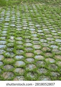 bstract pattern of interlocking concrete paving blocks with fresh green grass growing between the gaps