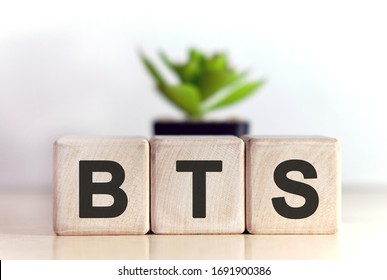BTS concept on wooden cubes and flower in a pot in the background