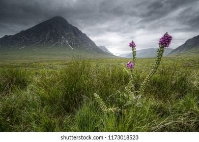 Buachaille Etive Mòr, Scottish Highlands