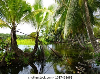 Buada Lagoon, Nauru (3rd Smallest Country In The World)