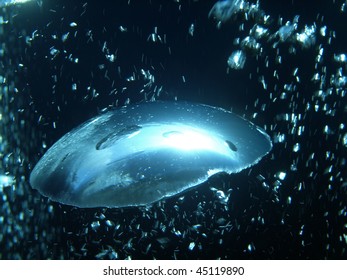 bubble