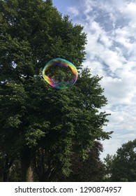 Bubble in front of tree scene