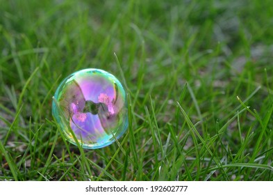A bubble in the grass