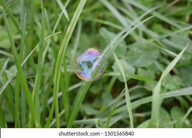 Bubble in grass rainbowcolour closeup 