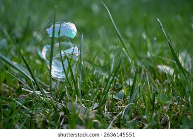 Bubble in green grass with reflection of sky and clouds