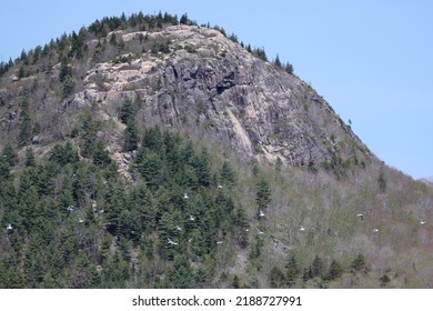 Bubble Mountains In Acadia Park