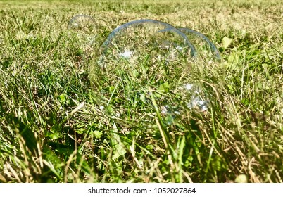 Bubble on grass