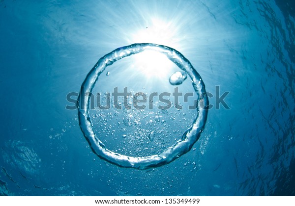 A bubble ring\
ascends towards the sun.