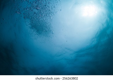 Bubbles 